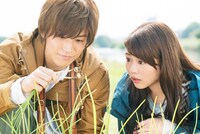 「植物図鑑」ビジュアル (c)2016「植物図鑑」製作委員会