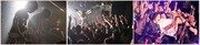 IRON ATTACK!のライブ写真。 (c)IRON ATTACK! (c)2015 とらのあなレコーズ/ツクルノモリ