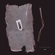 plenty「いのちのかたち」アナログ盤ジャケット