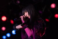 椎名ぴかりんによるライブの様子。