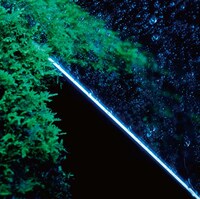 ぼくのりりっくのぼうよみ「sub/objective」ジャケット