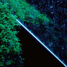 ぼくのりりっくのぼうよみ「sub/objective」ジャケット