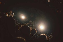 LUCCI（撮影：小笹竜馬）