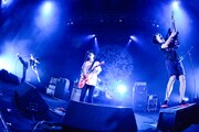 9mm Parabellum Bullet(撮影:橋本塁)