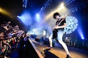 9mm Parabellum Bullet(撮影:橋本塁)