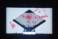 「SAKANAQUARIUM2015-2016 "NF Records launch tour"」東京・日本武道館公演の模様。（撮影：山本マオ）