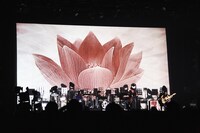 「SAKANAQUARIUM2015-2016 "NF Records launch tour"」東京・日本武道館公演の模様。（撮影：山本マオ）