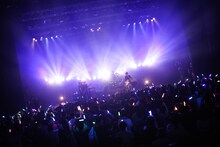 cinema staff（撮影：後藤壮太郎）