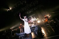 SHAKALABBITS（撮影：後藤壮太郎）