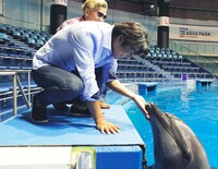 開演前にイルカと触れ合うSkoop On Somebody。