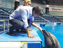 開演前にイルカと触れ合うSkoop On Somebody。