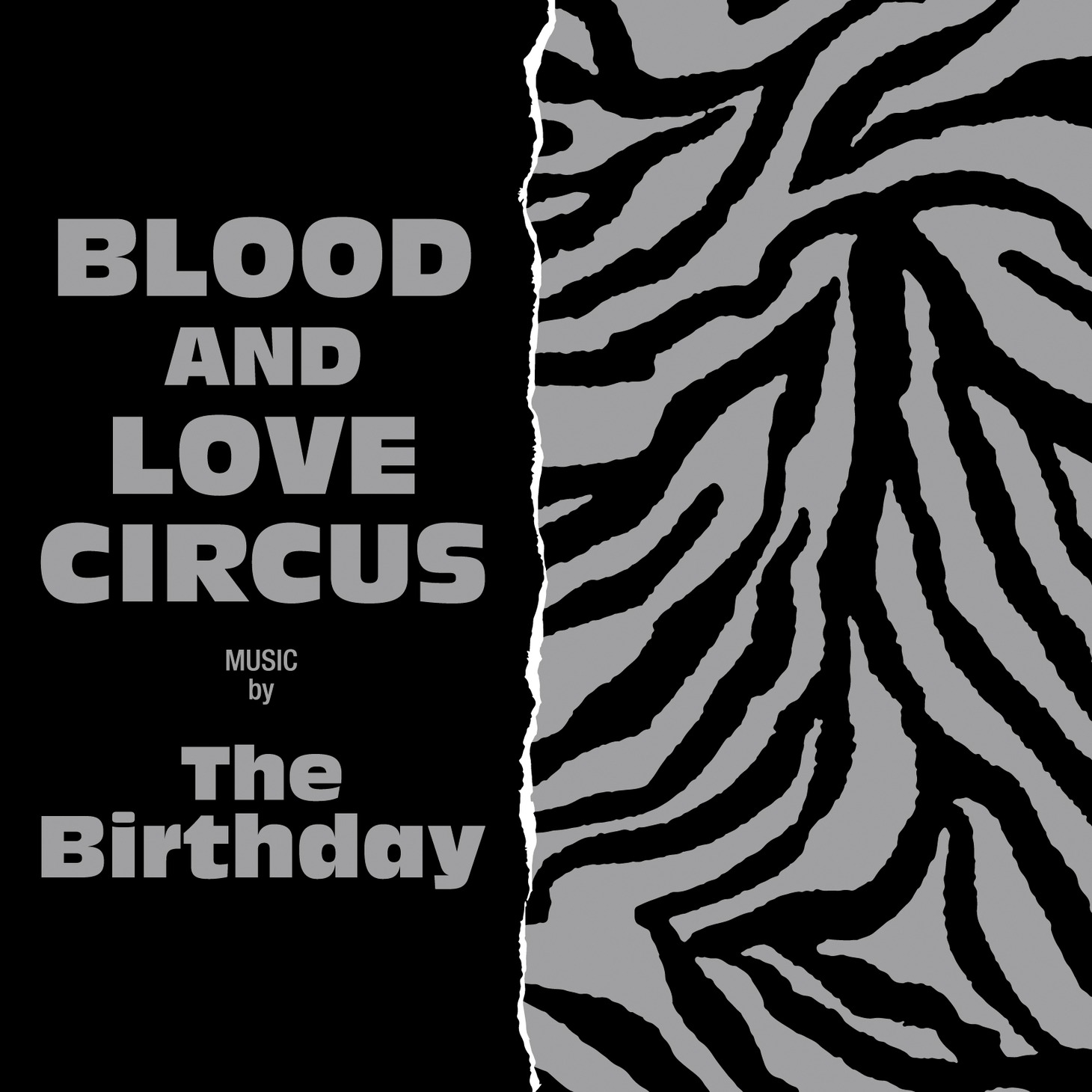 The Birthday「BLOOD AND LOVE CIRCUS」アナログ盤ジャケット
