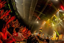 ROTTENGRAFFTY「Live Is Beautiful Tour 2015-2016」東京・豊洲PIT公演のアンコールの様子。（Photo by HayachiN）