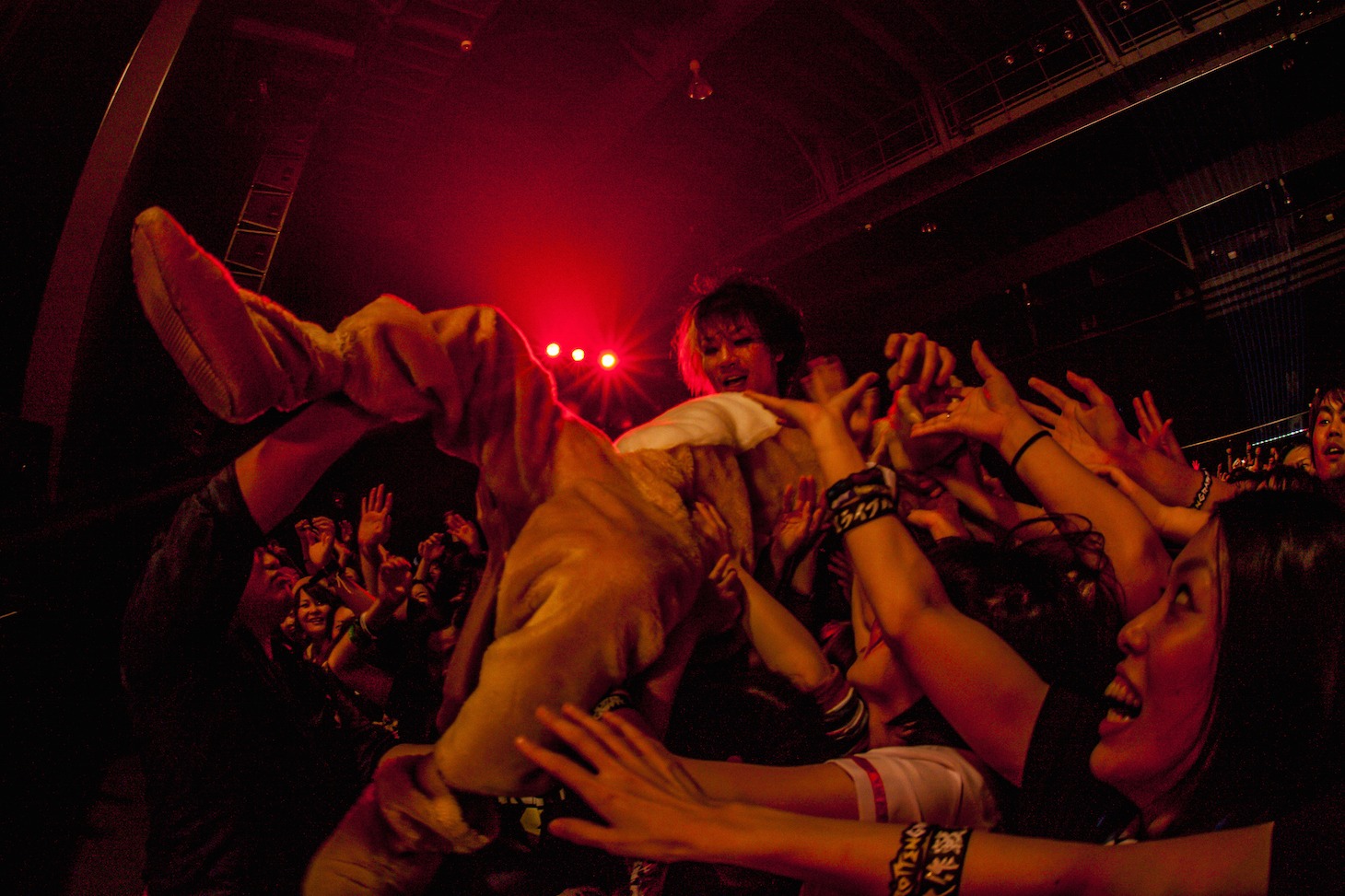 ROTTENGRAFFTY「Live Is Beautiful Tour 2015-2016」東京・豊洲PIT公演のアンコールの様子。（Photo by HayachiN）