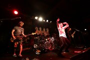 怒髪天のライブの様子。(撮影:渡邉一生)
