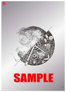 THREE LIGHTS DOWN KINGS「グロリアスデイズ」HMV購入者特典のクリアファイル裏面。