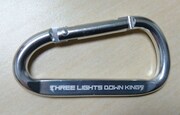 THREE LIGHTS DOWN KINGS「グロリアスデイズ」タワーレコード購入者特典のカラビナ裏面。