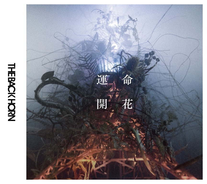 THE BACK HORN「運命開花」初回限定盤ジャケット