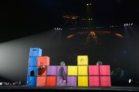 「HALLOWEEN COLLECTION」に登場したカメレオ。