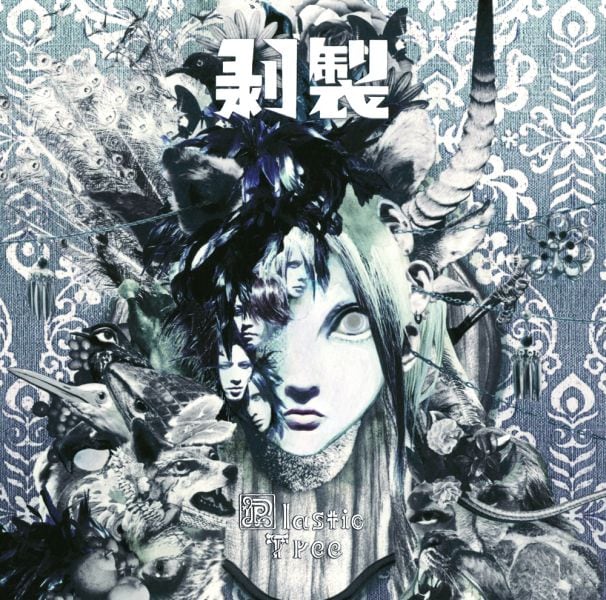 Plastic Tree「Plastic Tree」〈完全生産限定盤〉 Amazon.co.jp: 痣花 [完全生産限定盤] [CD + フォトブックレット