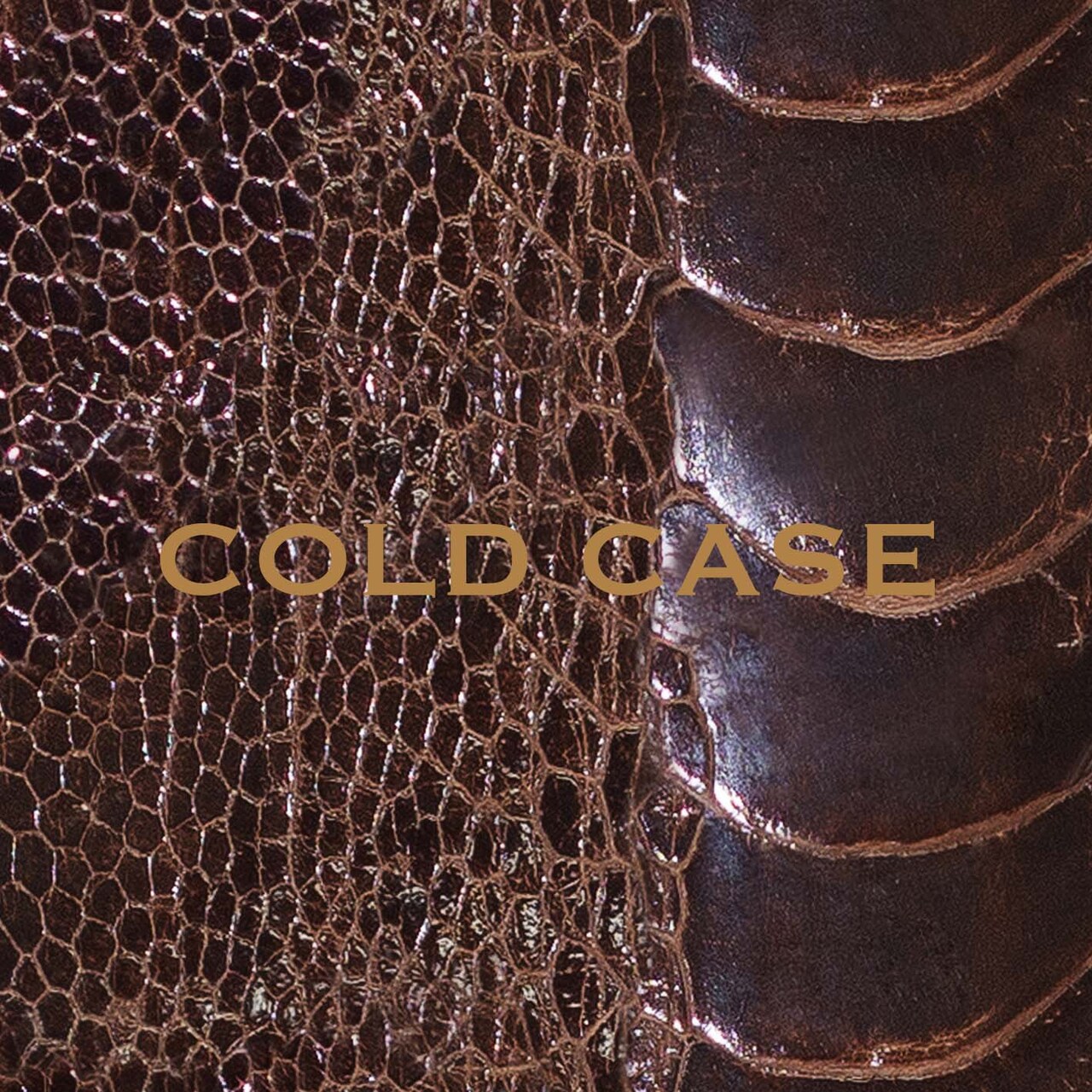 vistlip「COLD CASE」（LIMITED EDITION）ジャケット