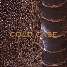 vistlip「COLD CASE」（LIMITED EDITION）ジャケット