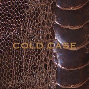 vistlip「COLD CASE」(LIMITED EDITION)ジャケット
