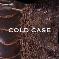 vistlip「COLD CASE」（lipper）ジャケット
