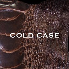 vistlip「COLD CASE」（lipper）ジャケット
