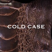 vistlip「COLD CASE」(lipper)ジャケット