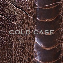 vistlip「COLD CASE」（vister）ジャケット