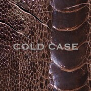 vistlip「COLD CASE」(vister)ジャケット