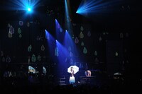 小松未可子「ハピこし！ライブ2015 ～青春×SURVIVAL～」の様子。（撮影：岡本麻衣）