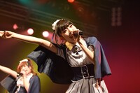 ルイズ・スフォルツア