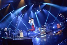 RADWIMPS（撮影：古溪一道）