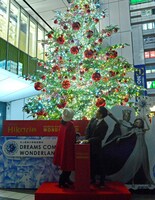 「Shibuya Hikarie Christmas 2015 ～WONDERLAND～」クリスマスツリー点灯式の様子。