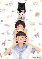 たんきゅんデモクラシー