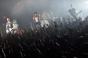 ザ・クロマニヨンズ「ザ・クロマニヨンズ TOUR JUNGLE 9 2015-2016」の模様。（撮影：柴田恵理）