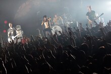ザ・クロマニヨンズ「ザ・クロマニヨンズ TOUR JUNGLE 9 2015-2016」の模様。（撮影：柴田恵理）