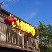 EMCと思い出野郎