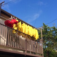 EMCと思い出野郎