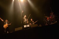 JOHNSONS MOTORCAR（Photo by Kenji Kubo[Showcase]）