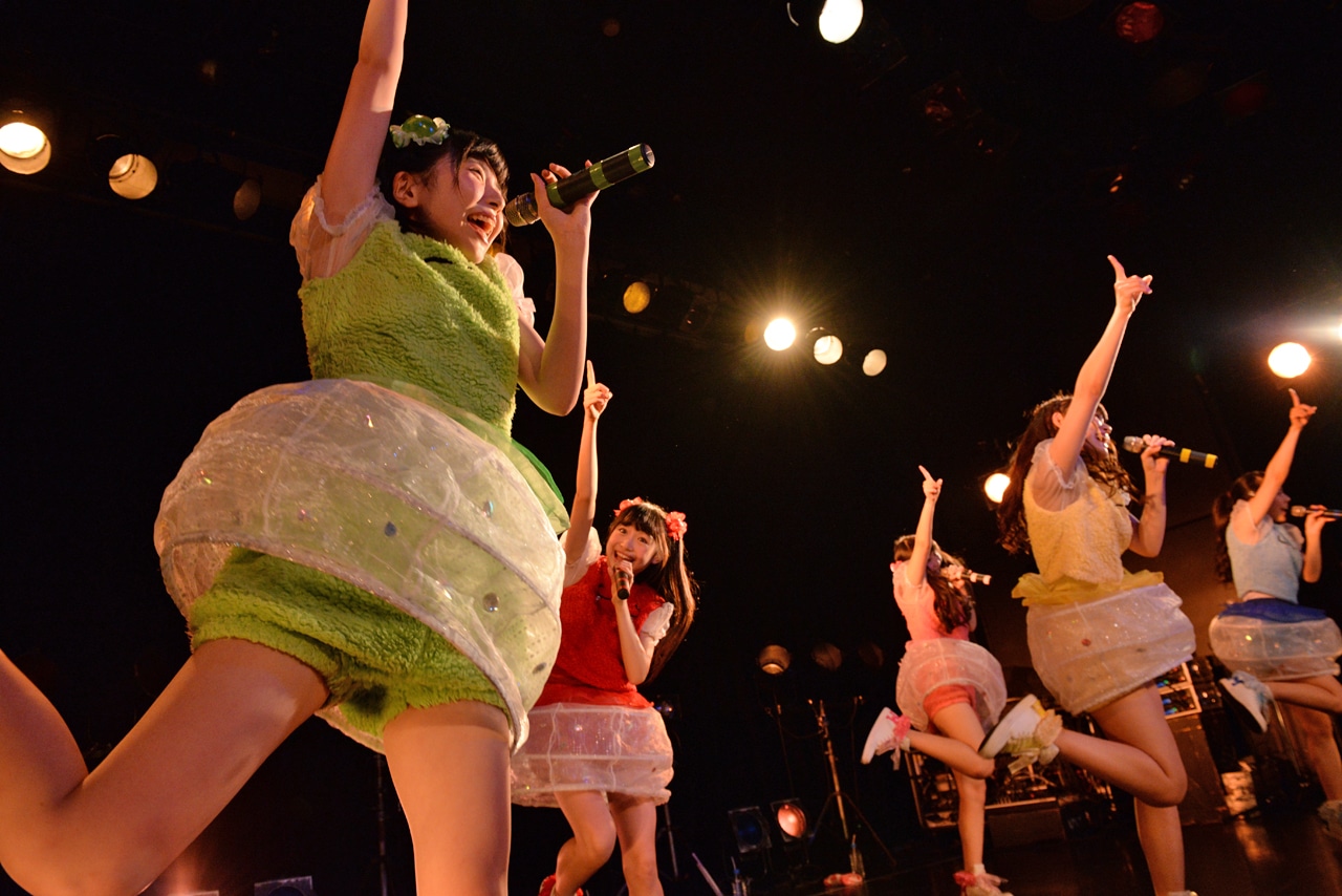 乙女新党