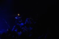 LOYAL TO THE GRAVE （撮影：タカハシアキラ）