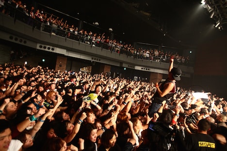 FACT（Photo by Shingo Tamai）