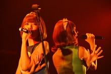 「バニラビーンズ ワンマンライブ Vol. 8」の様子。