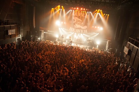 SUPER BEAVERのライブの様子。(Photo by MAYUMI -kiss it bitter-)