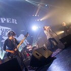 SUPER BEAVER、満員御礼ブリッツで迎えた「サシ飲み」ツアー千秋楽