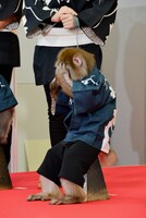 嵐のファンだというりくは顔を手で隠して照れるポーズを披露。