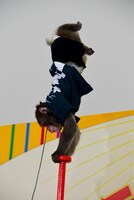 3匹の中で一番長い逆立ちを披露したジュニア。